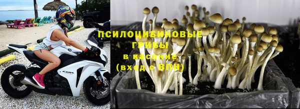 прущая мука Россошь