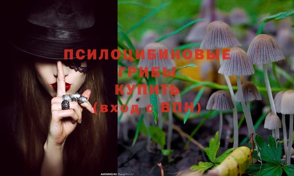 ешки Ростов