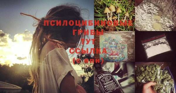 сатива Абаза