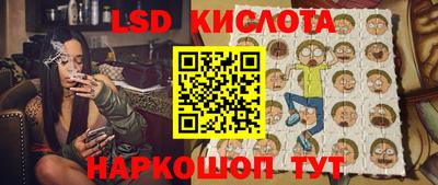 ГАЛЛЮЦИНОГЕННЫЕ ГРИБЫ Кандалакша