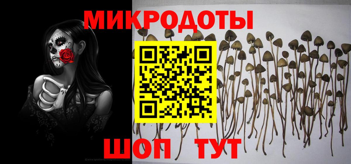 Каменск-Шахтинский  Псилоцибиновые грибы Psilocybe  Вход с VPN 