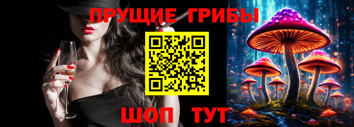 Галлюциногенные грибы прущие грибы Каменск-Шахтинский